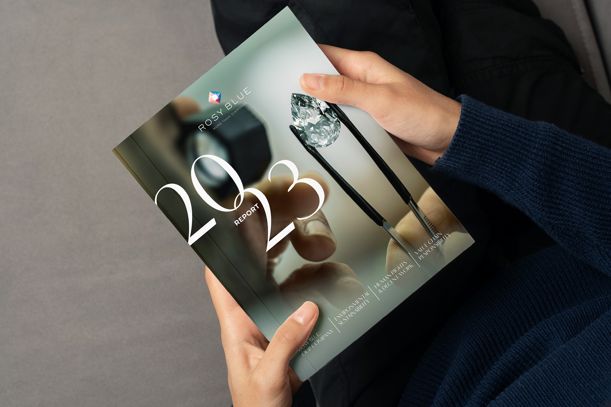 Annual report 2023 Rosy Blue